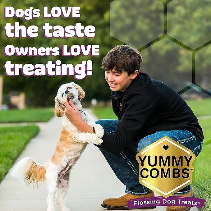 Owner enjoying playtime with a dog